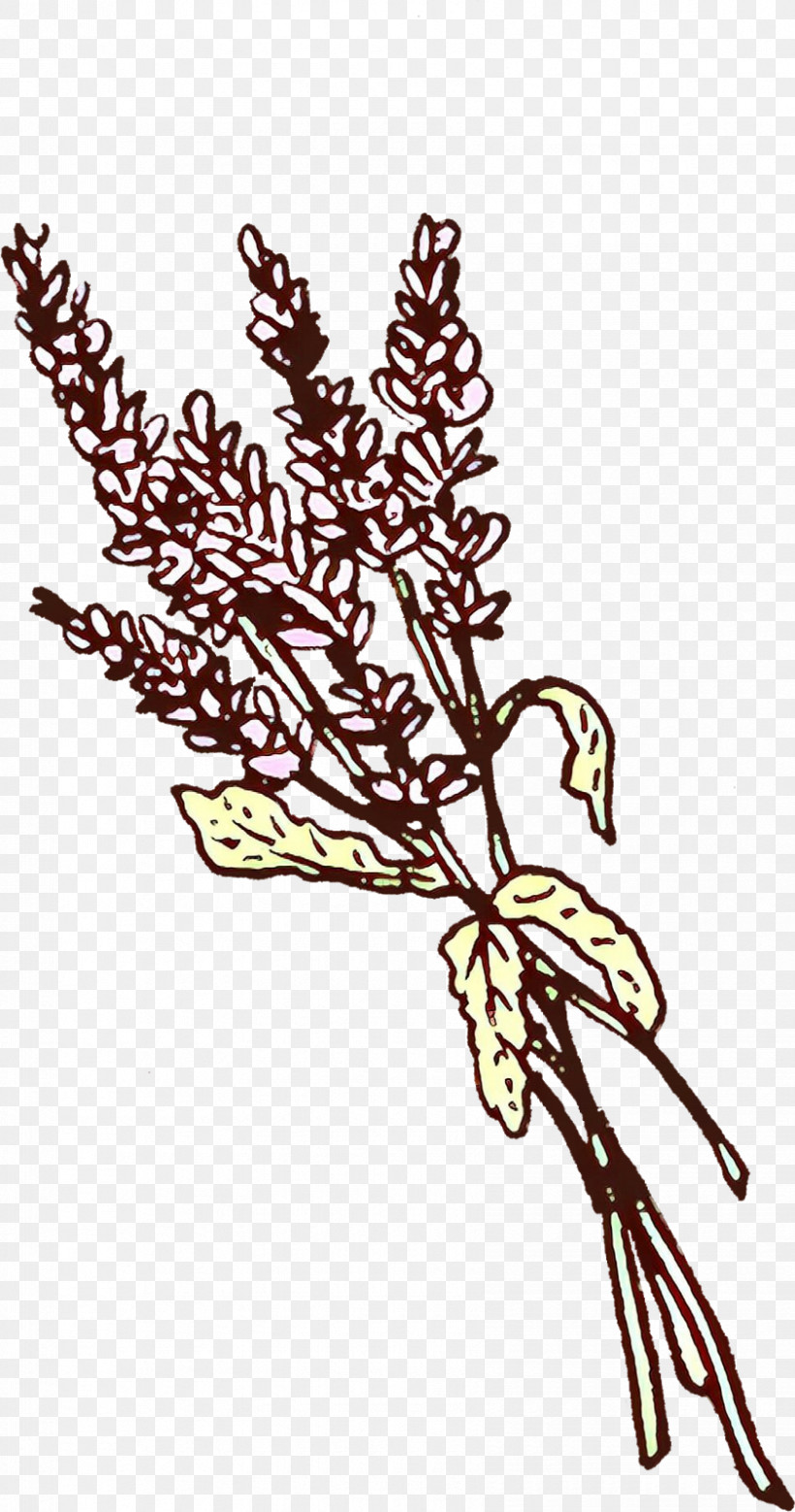 Plant Leaf Twig Flower Branch, PNG, 842x1600px, Plant, Branch, Flower, Leaf, Pedicel Download Free