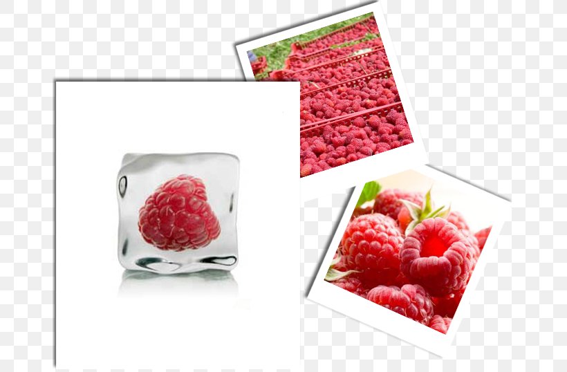 Red Raspberry Musk Strawberry Berries, PNG, 667x538px, Raspberry, Air Conditioners, Berries, Berry, Farmers Trading Company Download Free