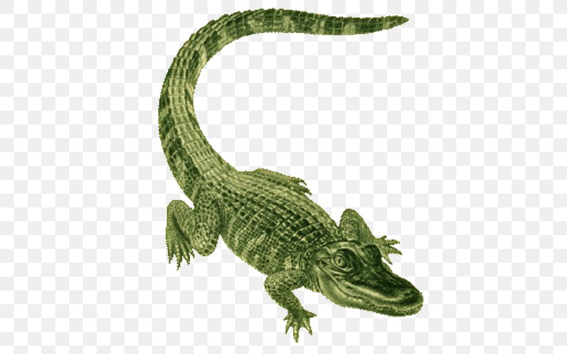 Reptile Alligator Crocodilia Crocodile Saltwater Crocodile, PNG, 512x512px, Reptile, Alligator, American Crocodile, Animal Figure, Crocodile Download Free