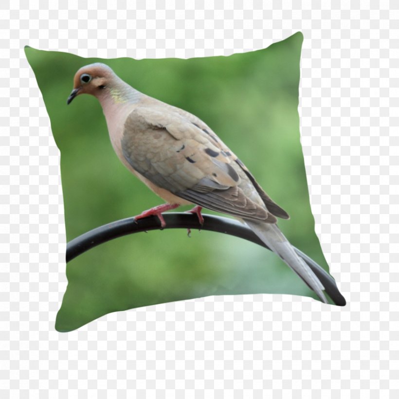 Throw Pillows Cushion Beak Fauna Feather, PNG, 875x875px, Throw Pillows, Beak, Bird, Cushion, Fauna Download Free