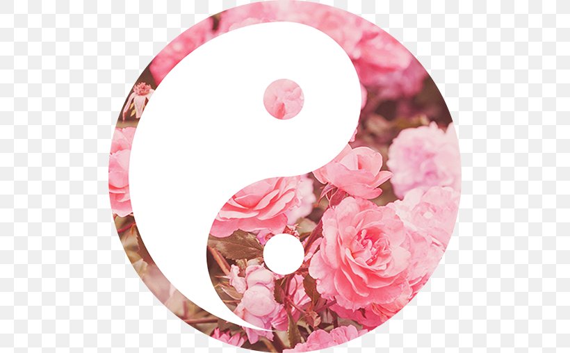 Amazon.com PopSockets Grip Stand Handheld Devices Yin And Yang, PNG, 508x508px, Amazoncom, Cut Flowers, Floral Design, Flower, Flower Arranging Download Free