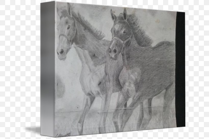 Mustang Stallion Drawing Monochrome Photography, PNG, 650x547px, Mustang, Animal, Artwork, Black And White, Drawing Download Free