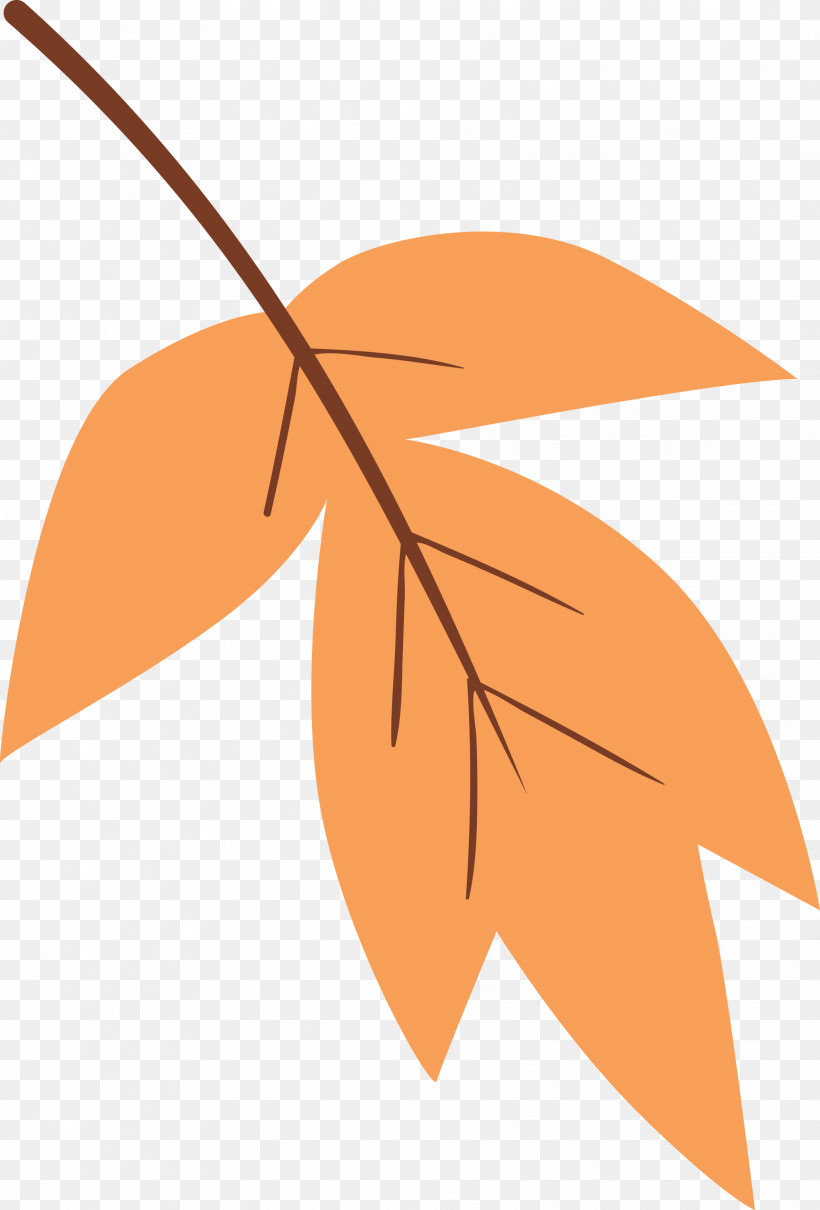 Orange, PNG, 2032x3000px, Watercolor Leaf, Leaf, Line, Logo, Orange Download Free