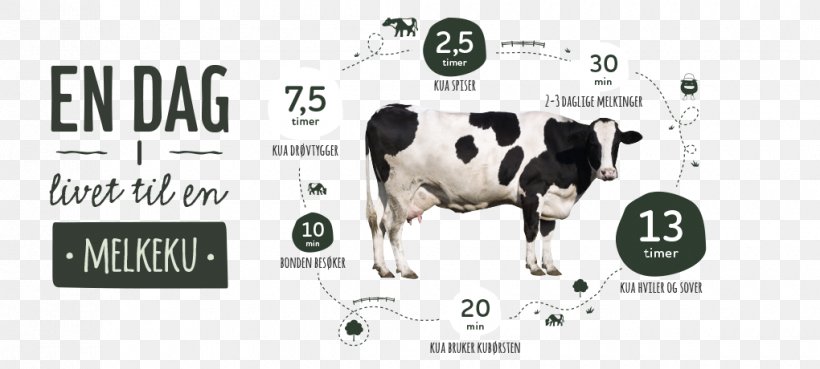 Dairy Cattle How Cows Make Milk Baka Milk Quality, PNG, 1020x460px, Dairy Cattle, Arla Foods, Baka, Barn, Brand Download Free