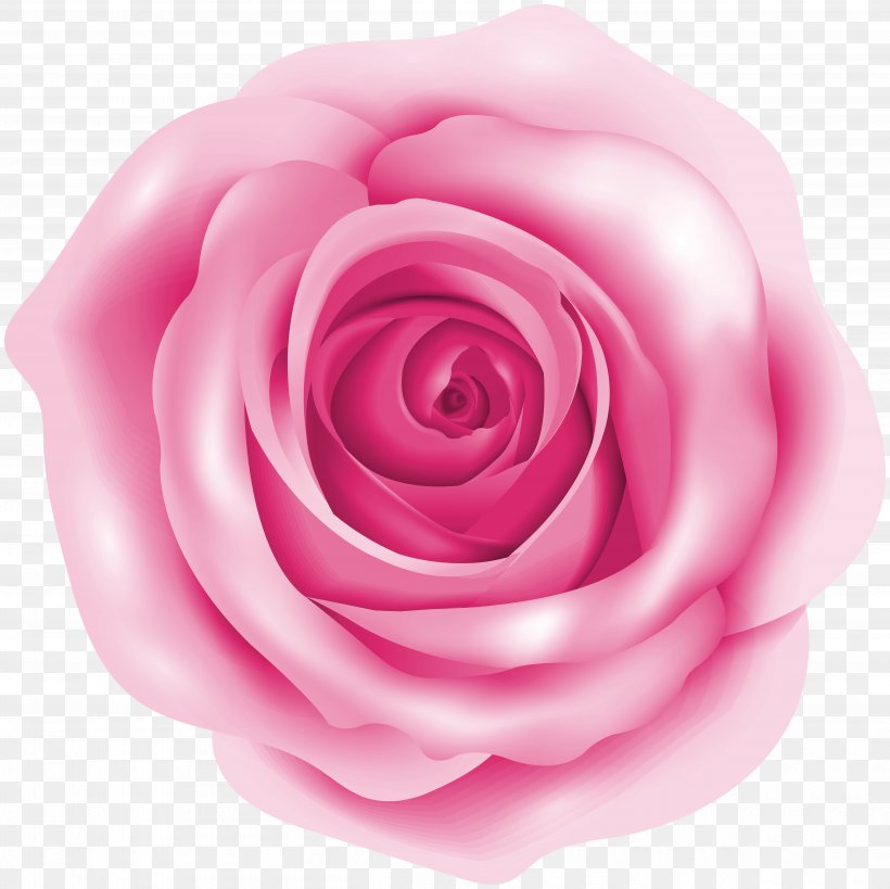 Rose Pink Clip Art, PNG, 5000x4998px, Rose, Blog, Cut Flowers, Drawing, Flower Download Free