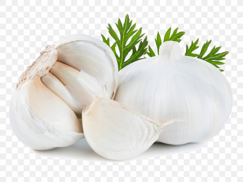 Solo Garlic Food Vegetable Onion Spice, PNG, 1024x771px, Solo Garlic, Ajoene, Allicin, Commodity, Export Download Free