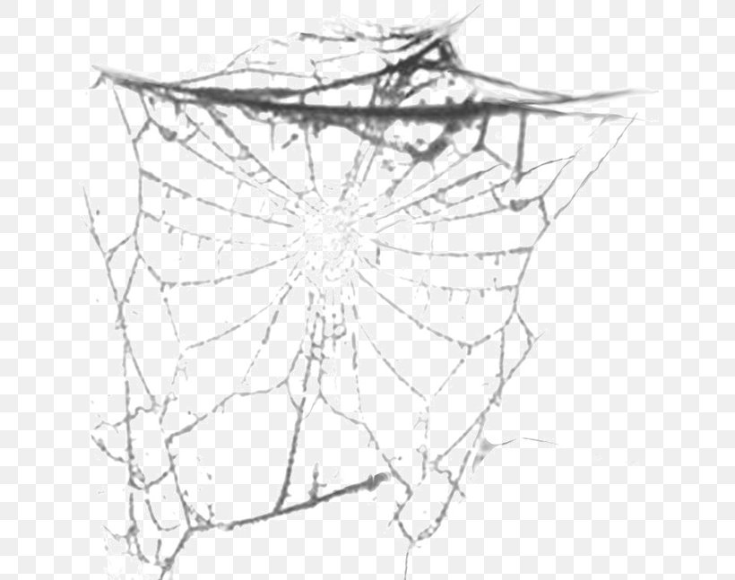 Spider Photography Paper Pattern, PNG, 650x647px, Spider, Area, Black And White, Easter, Landscape Download Free
