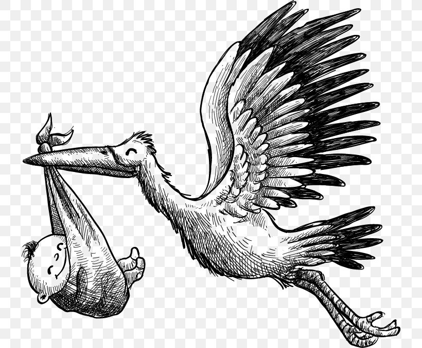 White Stork Euclidean Vector, PNG, 736x678px, Crane, Art, Beak, Bird, Black And White Download Free