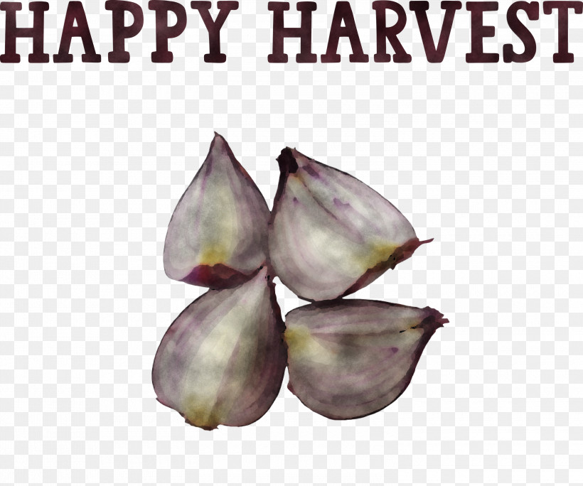 Happy Harvest Harvest Time, PNG, 3000x2505px, Happy Harvest, Croquis, Drawing, Fruit, Harvest Time Download Free
