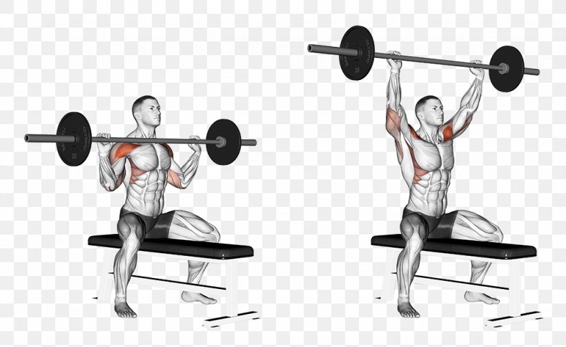 Overhead Press Shoulder Gwasg Milwrol Exercise Dumbbell, PNG, 1024x629px, Overhead Press, Arm, Balance, Barbell, Bench Download Free