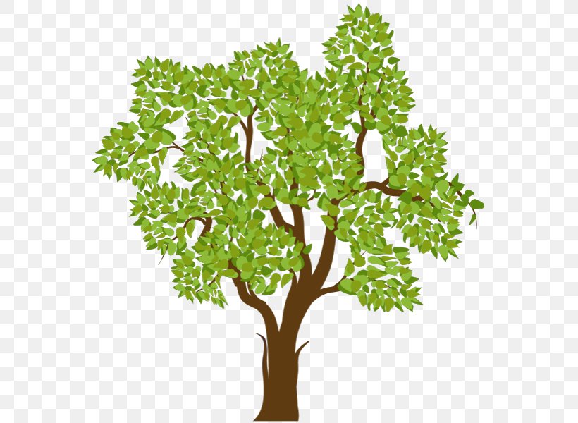Tree, PNG, 567x600px, Tree, Art, Branch, Flowering Plant, Flowerpot Download Free