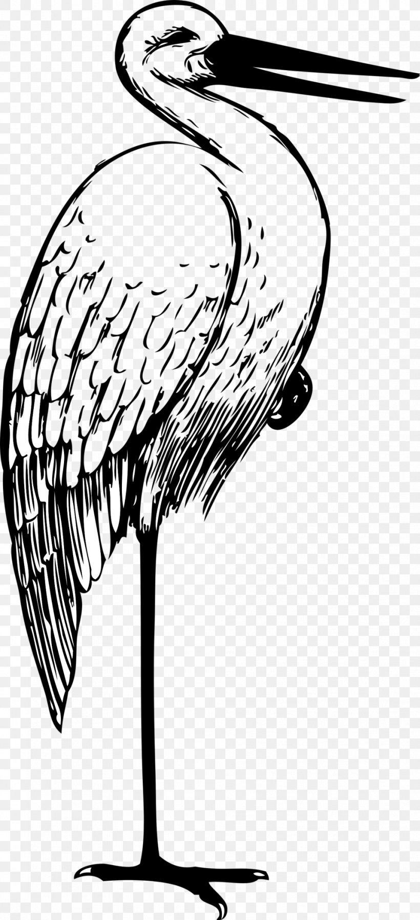 White Stork Clip Art, PNG, 958x2096px, White Stork, Art, Artwork, Beak, Bird Download Free