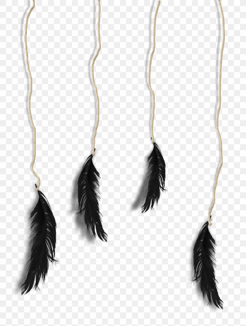 Feather Jewellery Drug, PNG, 967x1280px, Feather, Drug, Jewellery Download Free