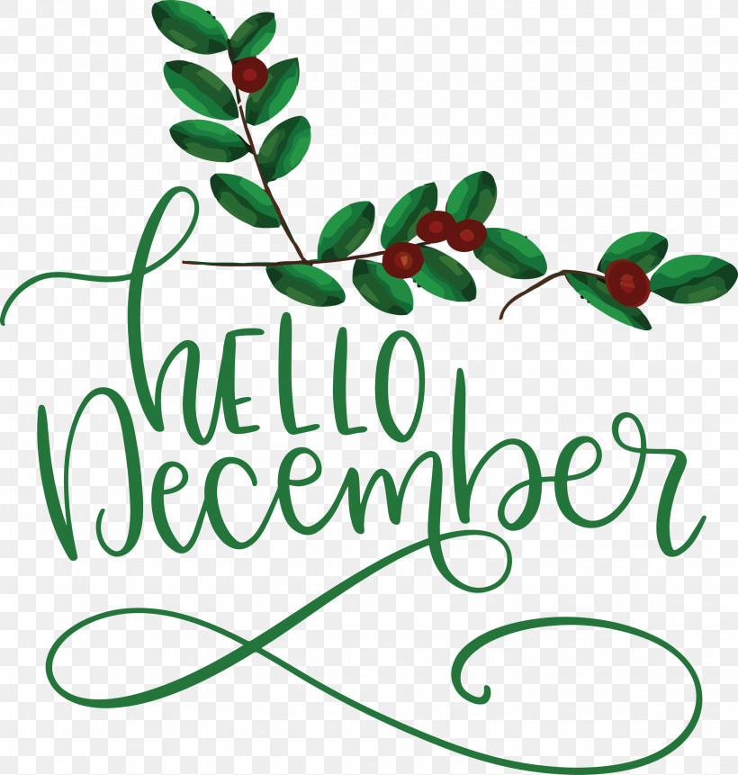 Hello December Winter, PNG, 2856x3000px, Hello December, Biology, Branching, Leaf, Line Download Free