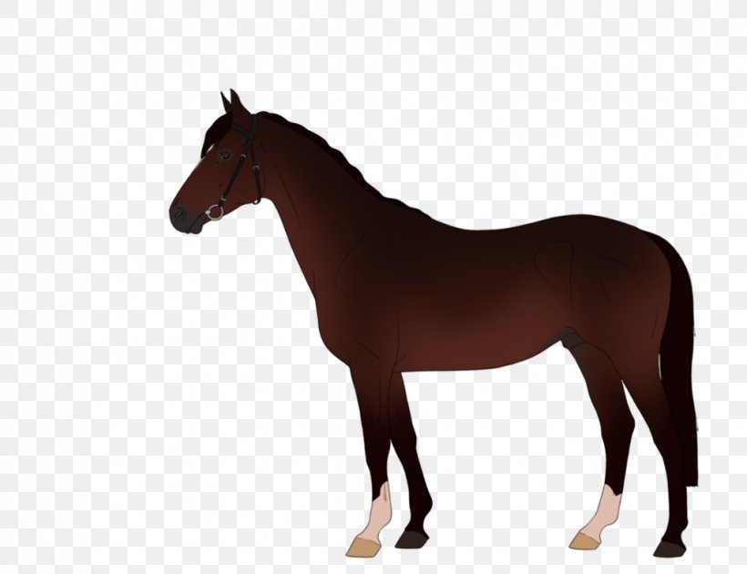 Horse Pony Equestrian Clip Art, PNG, 1019x784px, Horse, Black, Black And White, Bridle, Colt Download Free