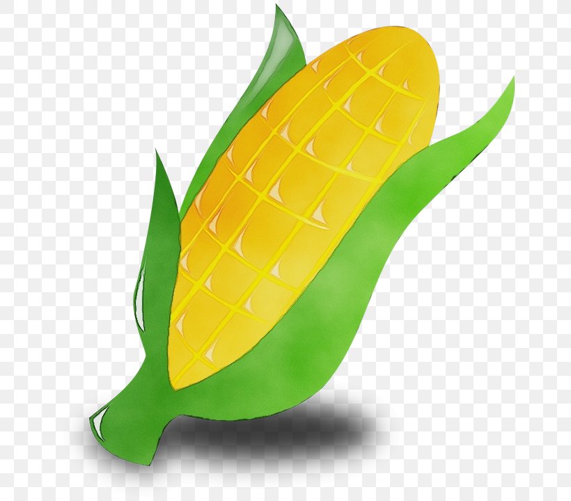Leaf Watercolor, PNG, 658x720px, Watercolor, Corn Kernel, Corn On The Cob, Corncob, Drawing Download Free