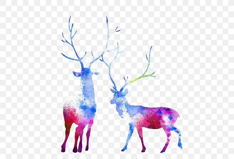 Moose Reindeer Watercolor Painting Elk Capreolinae, PNG, 502x558px, Moose, Antler, Art, Branch, Capreolinae Download Free