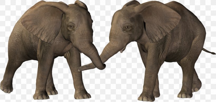 National Elephant Day Clip Art, PNG, 1024x486px, Elephant, African Elephant, Animal, Child, Dumbo Download Free