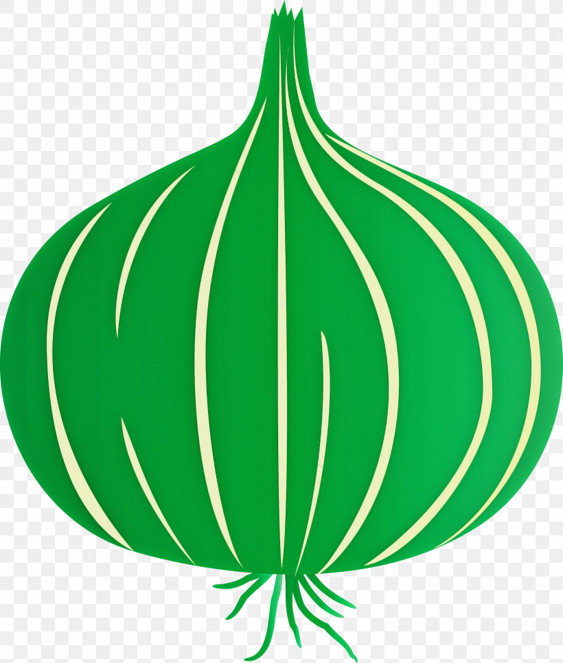 Onion, PNG, 2545x2999px, Onion, Flower, Fruit, Green, Leaf Download Free