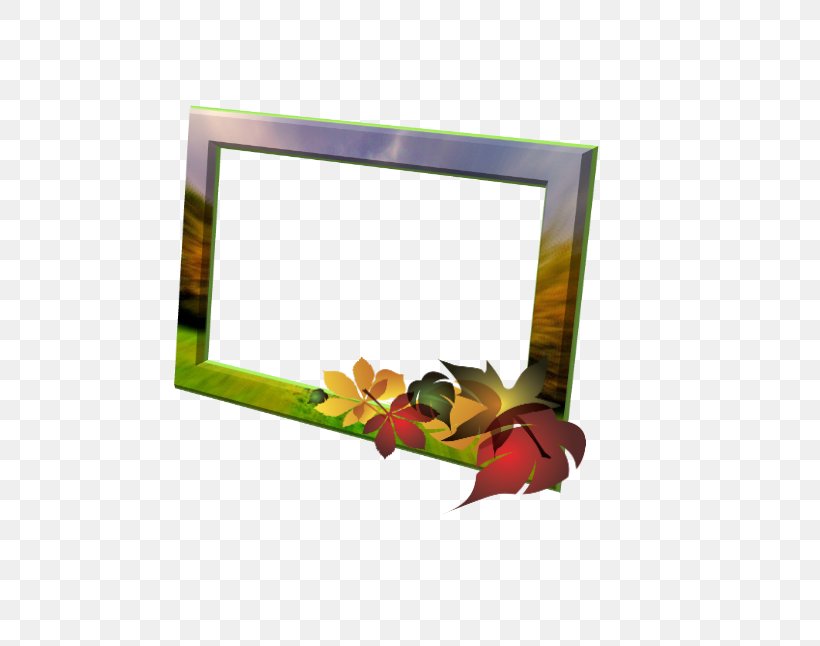 Picture Frames Rectangle, PNG, 562x646px, Picture Frames, Flower, Picture Frame, Rectangle Download Free