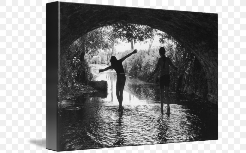 The Silver Star Black And White Picture Frames Photography, PNG, 650x510px, Silver Star, Black And White, Compact Disc, Monochrome, Monochrome Photography Download Free