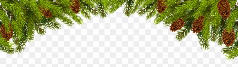Christmas Ornament Pine Branch Clip Art, PNG, 7060x1982px, Christmas, Arecales, Artificial Christmas Tree, Branch, Christmas Decoration Download Free