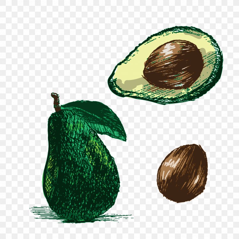 Drawing Photography Euclidean Vector Illustration, PNG, 1600x1600px, Drawing, Avocado, Can Stock Photo, Food, Fruit Download Free