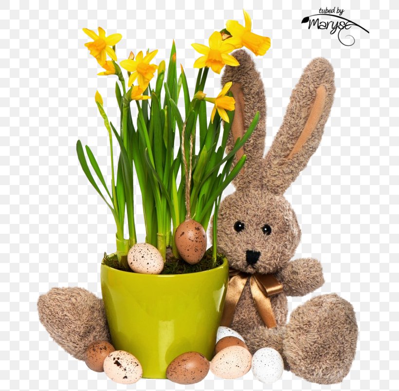 Easter Bunny Flowerpot Grasses, PNG, 738x803px, Easter Bunny, Easter, Family, Flower, Flowerpot Download Free