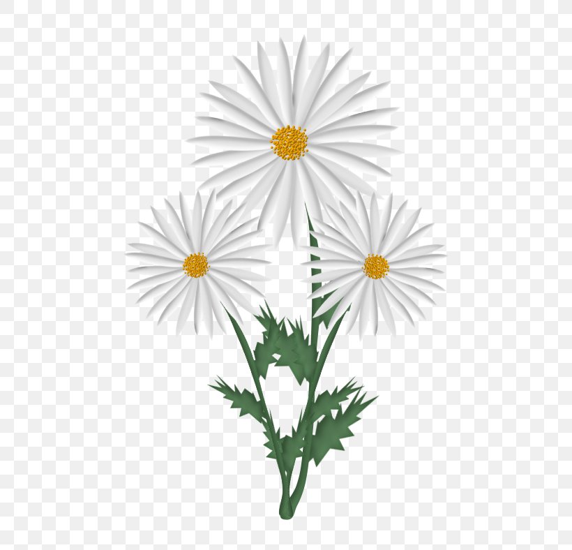 Flower Oxeye Daisy Samsung Galaxy A5 (2016) German Chamomile, PNG, 620x788px, 2016, Flower, Aster, Chamaemelum Nobile, Chrysanths Download Free
