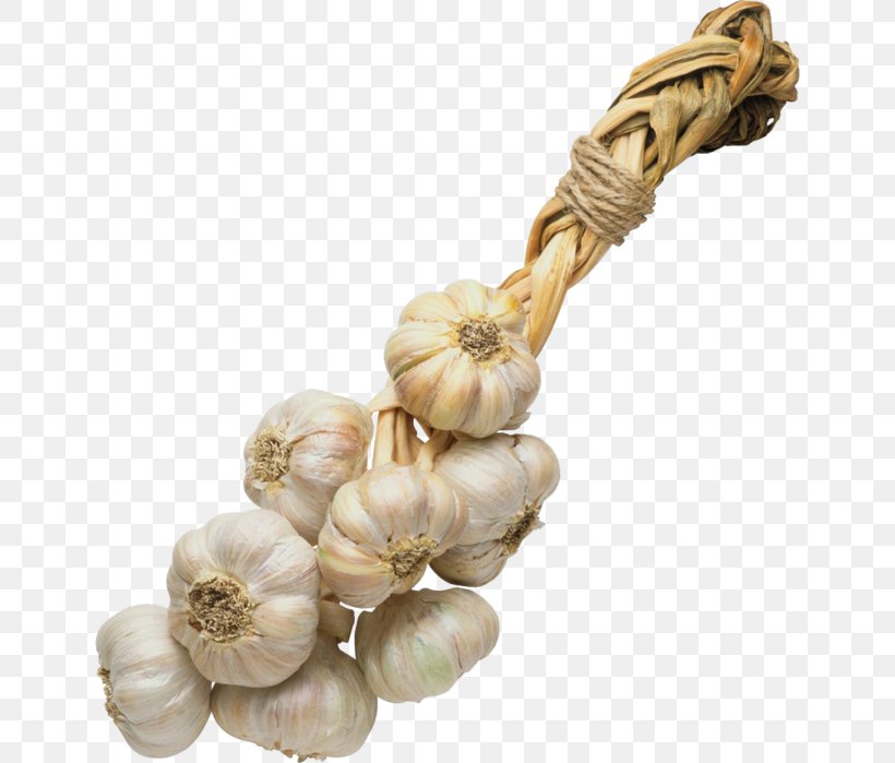 Garlic Seasoning Spice Vegetable, PNG, 646x699px, Garlic, Condiment, Conserva, Data Compression, Fruit Download Free