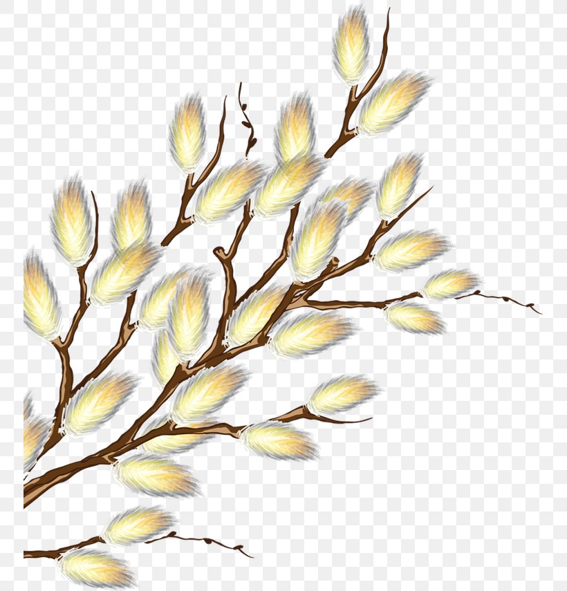 Tree, PNG, 751x855px, Willow, Branch, Commodity, Drawing, Flower Download Free