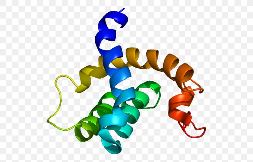 CBFA2T3 Protein Gene UniProt Transcription Factor, PNG, 567x526px, Watercolor, Cartoon, Flower, Frame, Heart Download Free