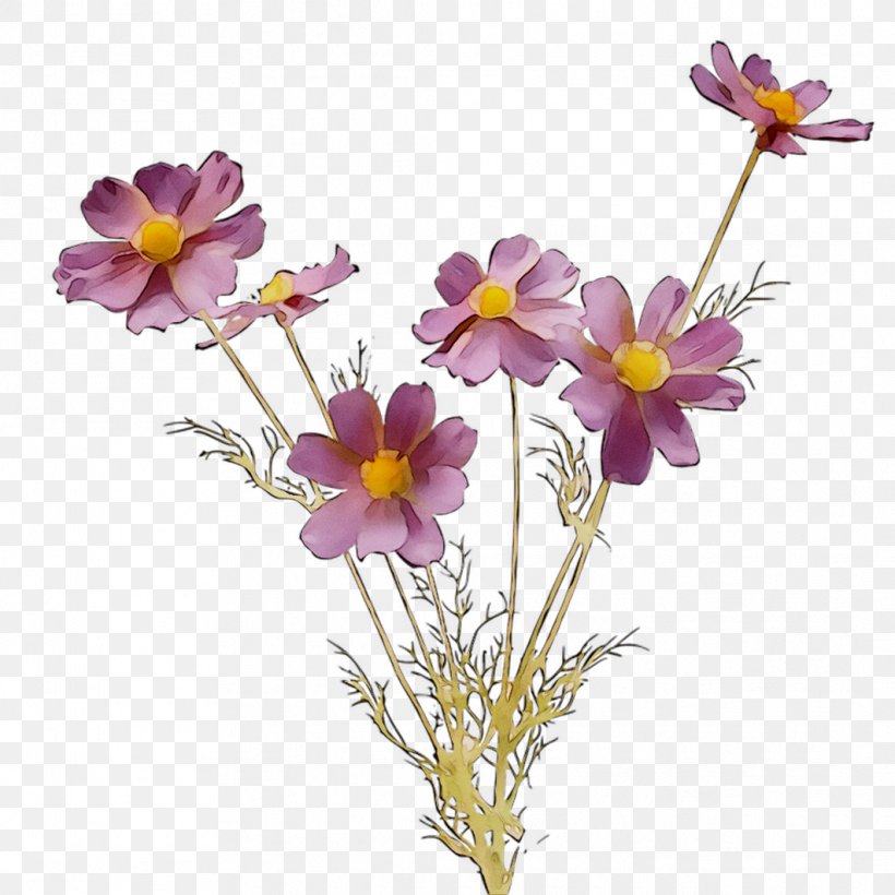Garden Cosmos Standard Paper Size Annual Plant Scrapbooking, PNG, 1062x1062px, Garden Cosmos, Annual Plant, Artificial Flower, Aster, Cosmos Download Free