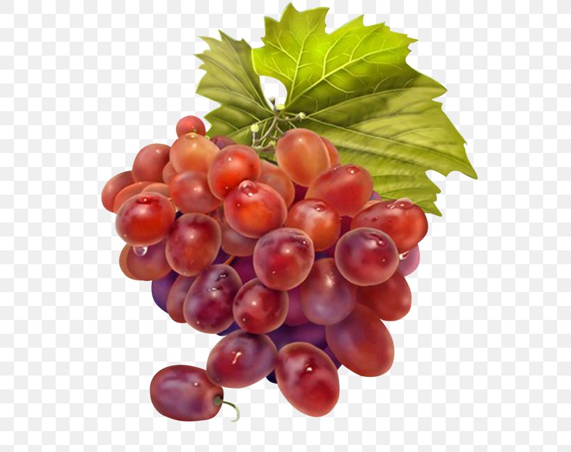 Grape Fruit Drawing Decoupage, PNG, 595x650px, Grape, Berry, Cranberry, Creativity, Currant Download Free