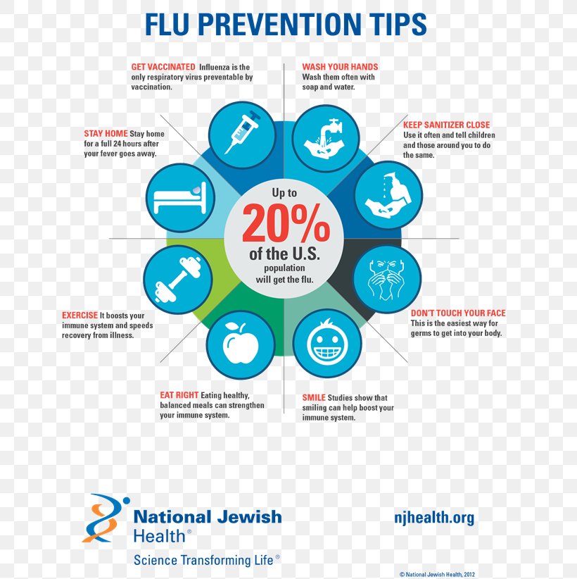 Centers For Disease Control And Prevention Influenza Vaccine Health Care, PNG, 650x822px, Influenza, Area, Brand, Communication, Diagram Download Free
