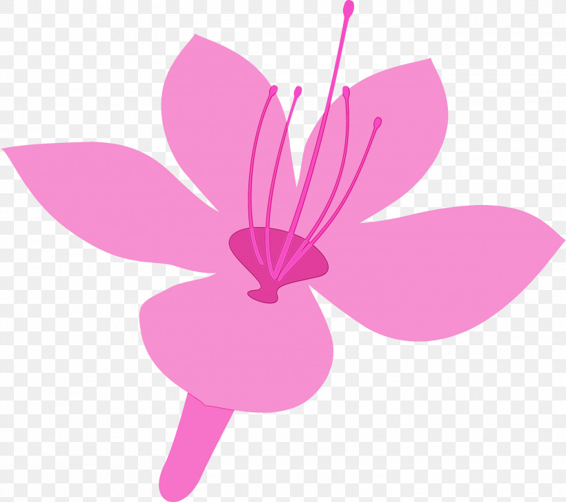 Pink Petal Flower Plant Magenta, PNG, 3000x2663px, Azalea, Azalea Flower, Flower, Herbaceous Plant, Magenta Download Free