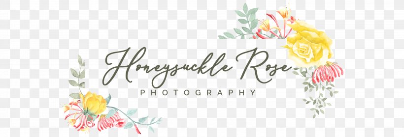 Wedding Flower Card, PNG, 3000x1024px, Photographer, Bride, Calligraphy, Cut Flowers, Engagement Download Free