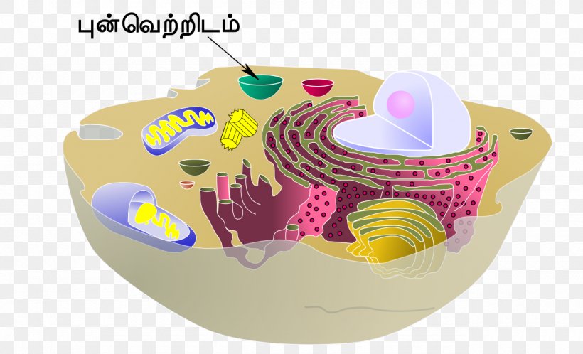 Cèl·lula Animal Vacuole Cell Organelle, PNG, 1280x778px, Animal, Biology, Cell, Cell Membrane, Cell Type Download Free