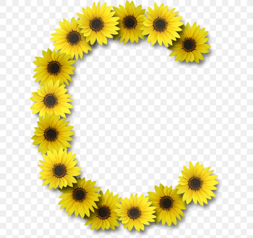 Common Sunflower Letter Case Alphabet G, PNG, 629x769px, Common Sunflower, Alphabet, Daisy Family, Dotted And Dotless I, Flower Download Free