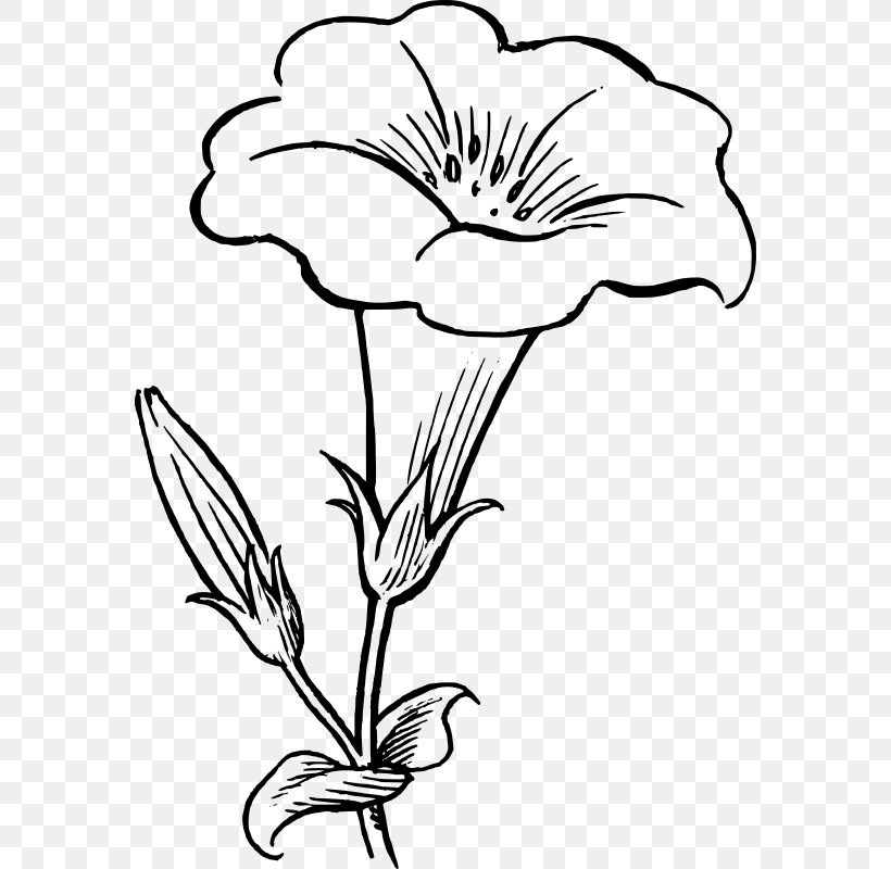 Drawing Black And White Flower Clip Art, PNG, 572x800px, Drawing, Art, Artwork, Black, Black And White Download Free