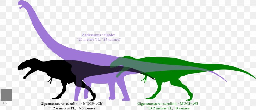 Giganotosaurus Argentinosaurus Dinosaur Size Tyrannosaurus Mapusaurus, PNG, 2220x960px, Giganotosaurus, Acrocanthosaurus, Allosaurus, Andesaurus, Argentinosaurus Download Free
