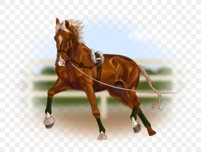 Horse Harnesses Stallion Horse Gait Rein, PNG, 900x681px, Horse, Bridle, Canter And Gallop, Chariot, Gait Download Free