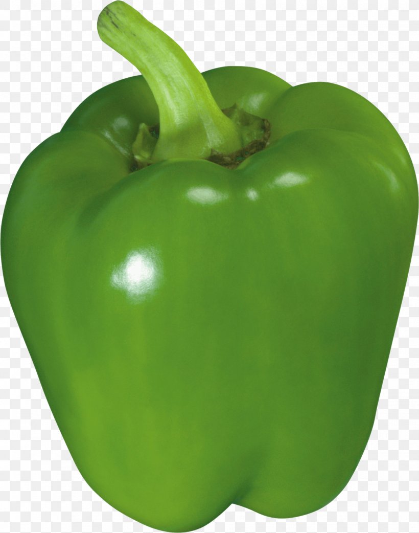 Bell Pepper Chili Pepper Jalapeño, PNG, 1879x2388px, Bell Pepper, Apple, Bell Peppers And Chili Peppers, Buffalo Wing, Capsicum Download Free