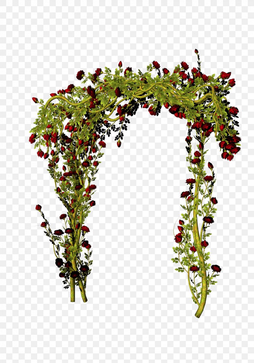 Flower Download, PNG, 1654x2362px, Flower, Christmas Decoration, Floral Design, Flowering Plant, Fundal Download Free