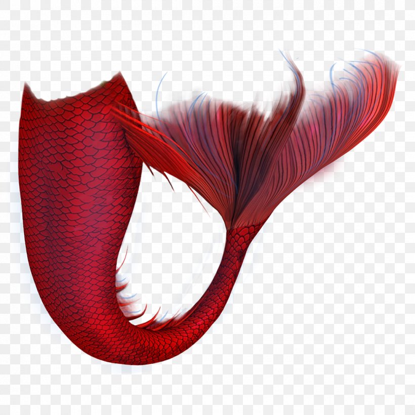 Mermaid Drawing, PNG, 1080x1080px, Mermaid, Costume, Drawing, Feather, Lip Download Free