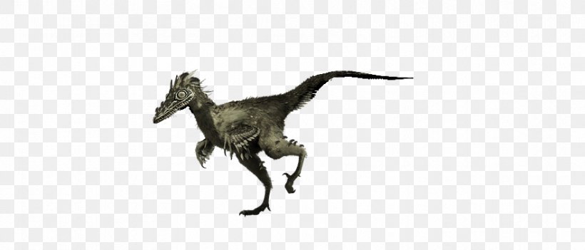 Velociraptor Tyrannosaurus White Animal, PNG, 883x378px, Velociraptor, Animal, Animal Figure, Black And White, Dinosaur Download Free