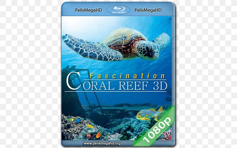 Blu-ray Disc 3D Film 1080p Digital Copy Documentary Film, PNG, 512x512px, Watercolor, Cartoon, Flower, Frame, Heart Download Free
