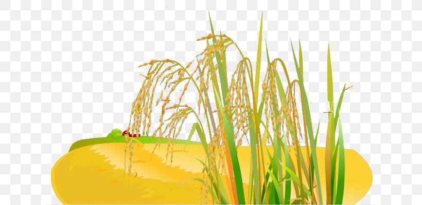 Common Wheat Cartoon Grasses, PNG, 650x400px, Common Wheat, Bread, Cartoon, Commodity, Food Download Free