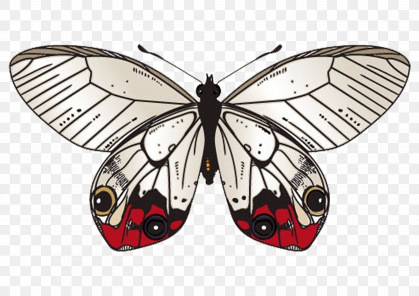 Butterfly Moth Clip Art, PNG, 3508x2480px, Butterfly, Art, Arthropod, Brush Footed Butterfly, Butterflies And Moths Download Free