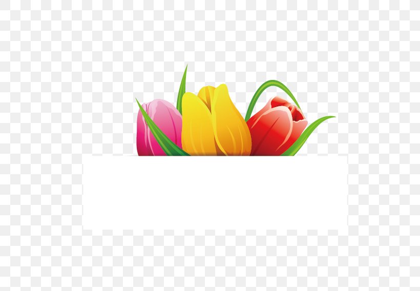 Tulip, PNG, 567x568px, Tulip, Designer, Floral Design, Flower, Flowering Plant Download Free